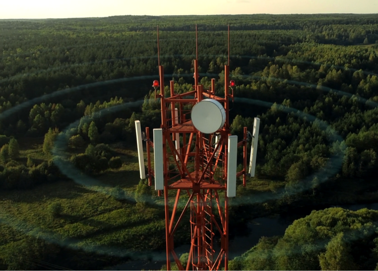 2G 3G tower in bushland web 750px