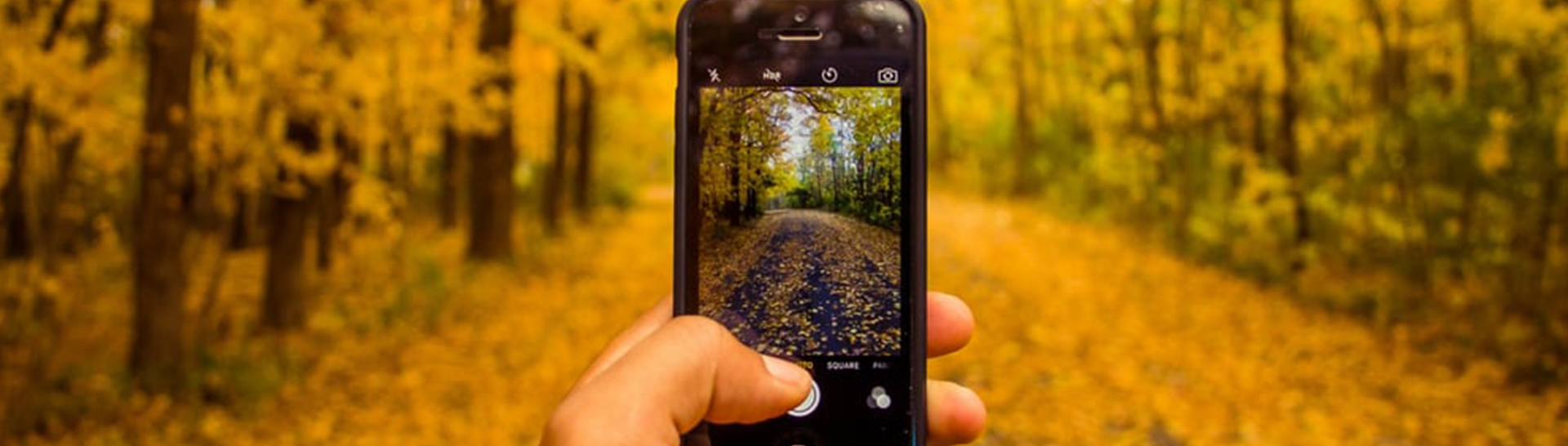 MobileCorp commits to a mobile sustainability resized