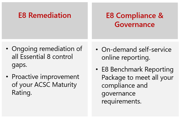 E8 remediation as a service inclusions_2