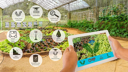 5G-farming