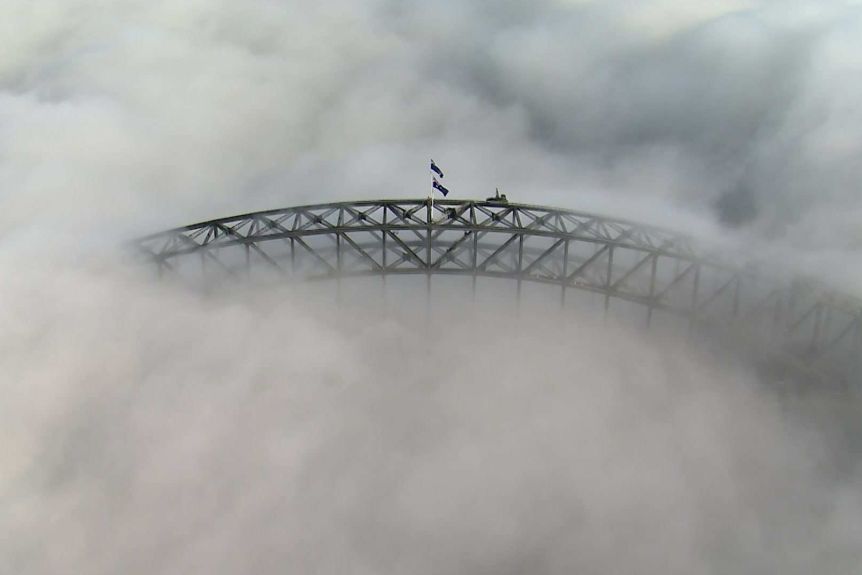 Harbour bridge fog