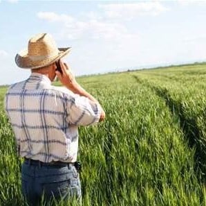 farmer on mobile phone in field