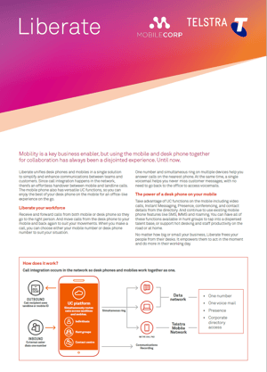 Liberate Data Sheet cover