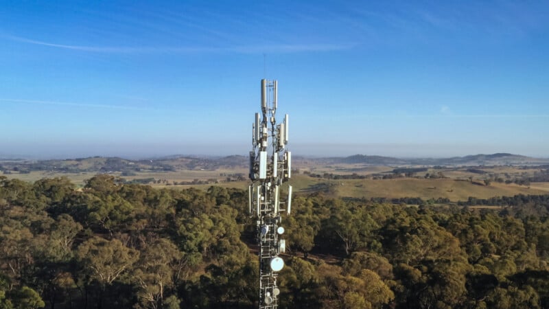 Mangrove mountain cell tower
