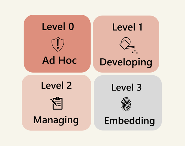 Four Essential 8 Maturity Level headings