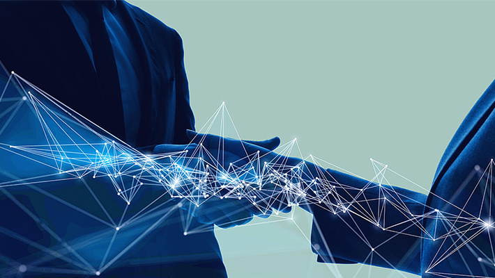 NETWORK CONSULTANCY