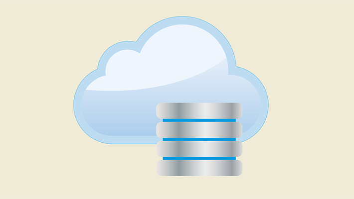 MANAGED BACKUP AND RESTORATION