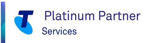 Partner = Services - platinum