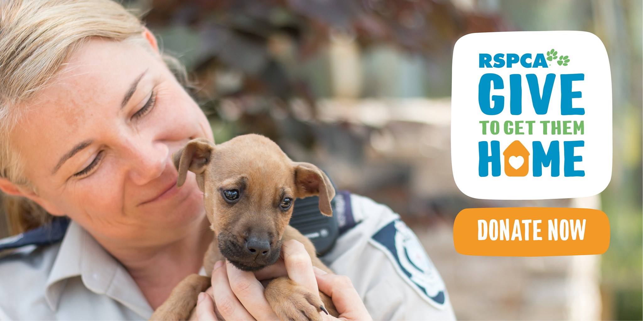 RSPCA NSW donate now