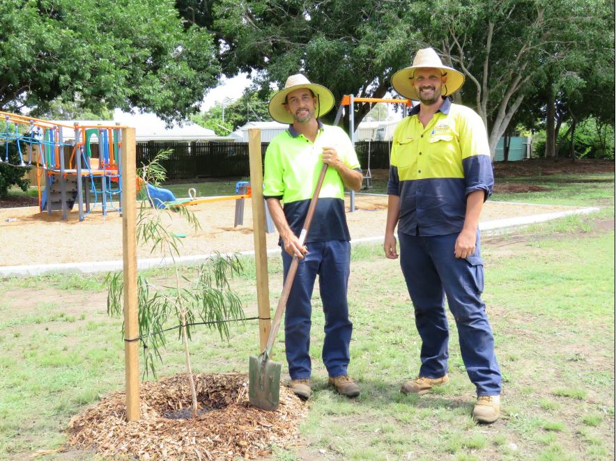 Tree-planting Botany Bay local government