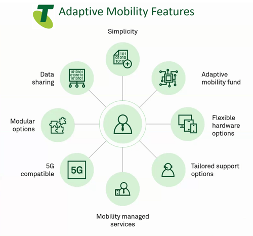 adaptive mobility features