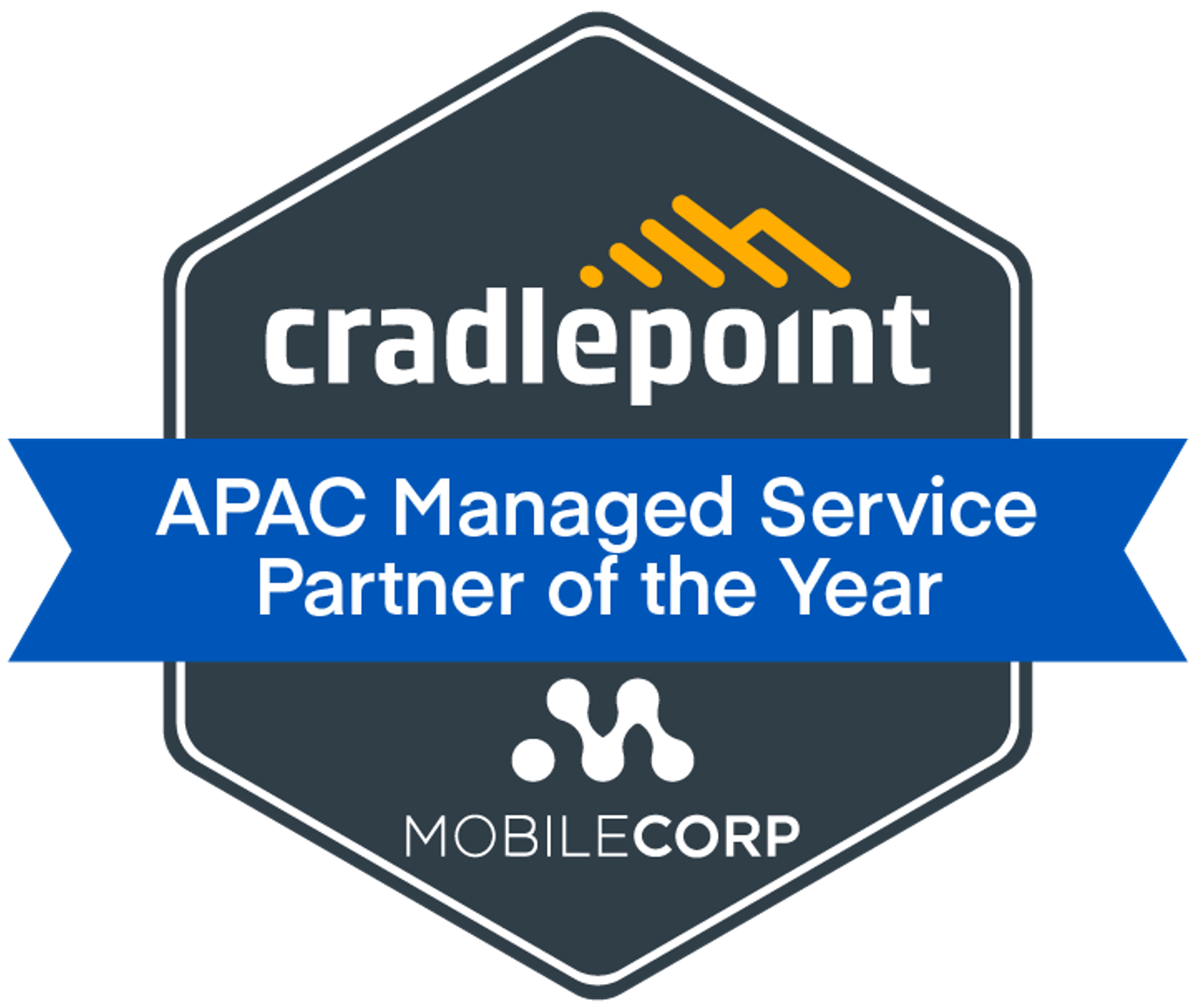 Managed Service Partner of the Year APAC no date